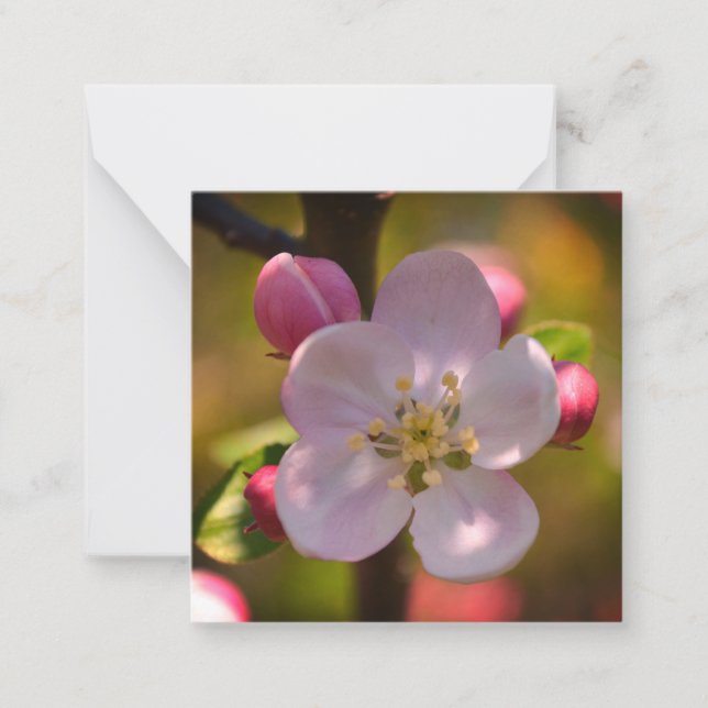 Tarjeta Pequeña Apple Blossom (Anverso)