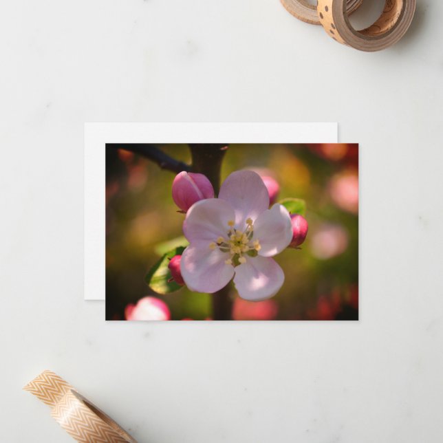 Tarjeta Pequeña Apple Blossom (Anverso/Reverso In Situ)