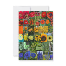 Arcoíris de Flores 