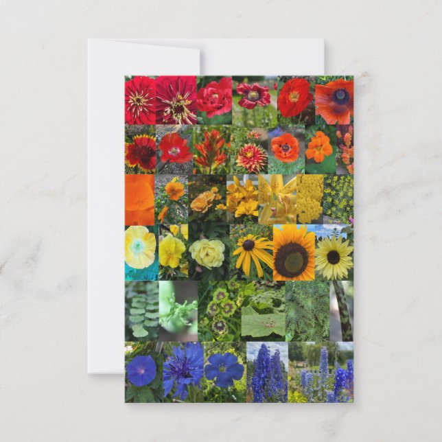 Tarjeta Pequeña Arcoíris de Flores  (Anverso)