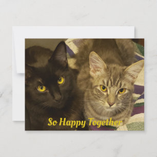 Tarjeta Pequeña Así que feliz juntos en busca de Valentine dos gat