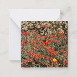 Tarjeta Pequeña August Ablaze