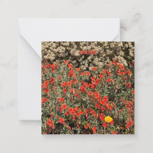 Tarjeta Pequeña August Ablaze (Anverso)