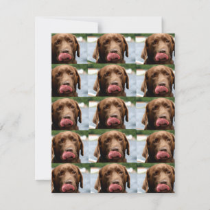 Tarjeta Pequeña Azulejos de Chocolate Labrador Retriever BG