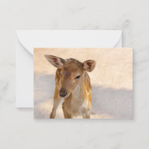 Tarjeta Pequeña Baby Deer