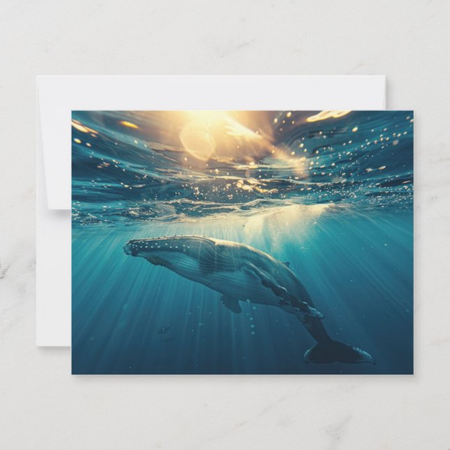 Tarjeta Pequeña Ballena azul bajo el agua (Anverso)
