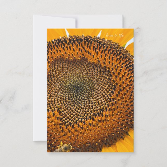 Tarjeta Pequeña Bee Antennas & Sunflower (Anverso)