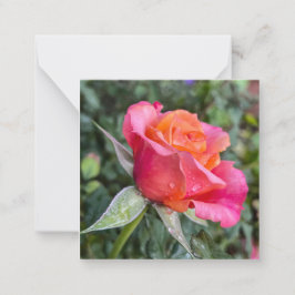 Tarjeta Pequeña Belleza