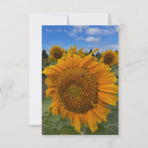 Tarjeta Pequeña Big Sunflower & Blue Skies