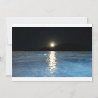 Tarjeta Pequeña Blank Notecards