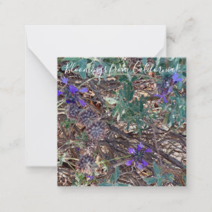 Tarjeta Pequeña Bloomings desde California: Purple Sage