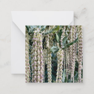 Tarjeta Pequeña Bloomings from California: Silk Tassel