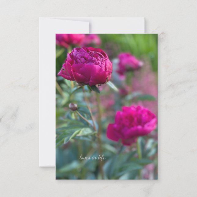 Tarjeta Pequeña Bonitas Peonies De Jardín Profundo (Anverso)