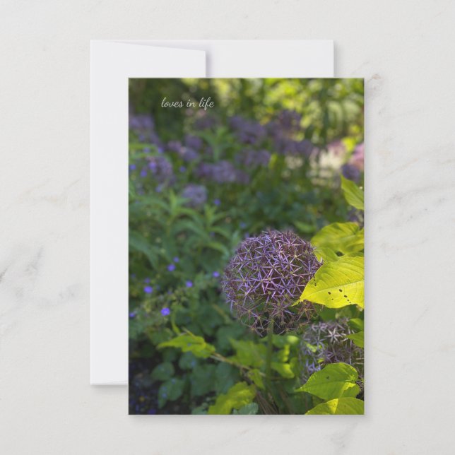 Tarjeta Pequeña Bonito Allium (Anverso)