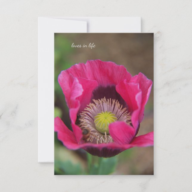 Tarjeta Pequeña Bonito Rosa (Anverso)