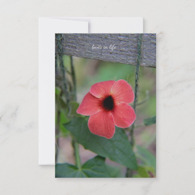 Tarjeta Pequeña Bonito Vino Jardín (Anverso)