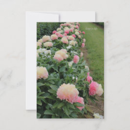 Tarjeta Pequeña Borde de peones rosados