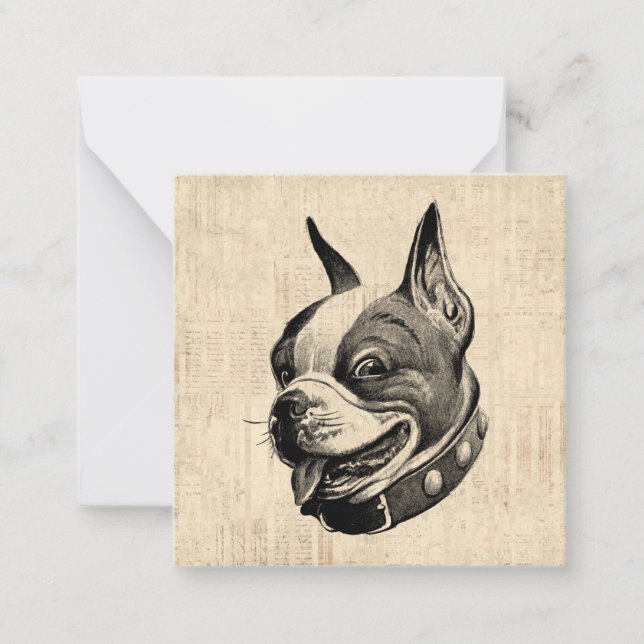 Tarjeta Pequeña Boston Terrier Dog Cute Mascota Perro Arte Antiguo (Anverso)