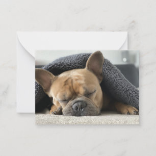 Tarjeta Pequeña bulldog francés debajo de la manta