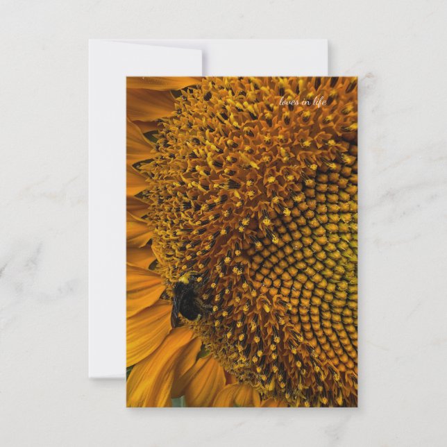 Tarjeta Pequeña Bumble Bee & Sunflower (Anverso)