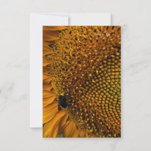 Tarjeta Pequeña Bumble Bee & Sunflower