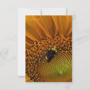 Tarjeta Pequeña Bumble Bee & Sunflower