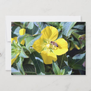 Tarjeta Pequeña Busy Bee