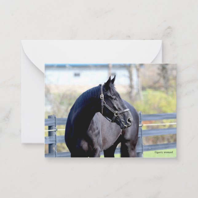 Tarjeta Pequeña Caballo En Pastor (Anverso)