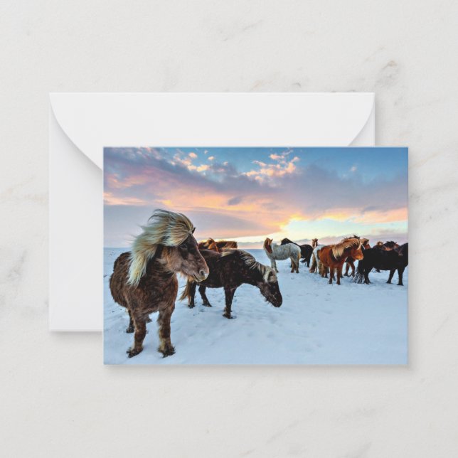 Tarjeta Pequeña Caballos islandeses (Anverso)