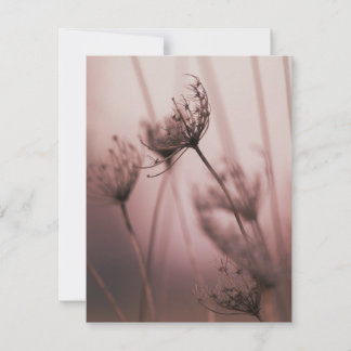 Tarjeta Pequeña Cabezas de semillas de flores silvestres con luz s
