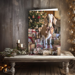 Tarjeta Pequeña cabra bonito - ¿Son Navidades todavía?