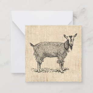 Tarjeta Pequeña Cabra linda con guión antiguo de Ilustracion bell