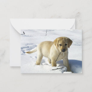 Tarjeta Pequeña Cachorro labrador amarillo LR en la nieve