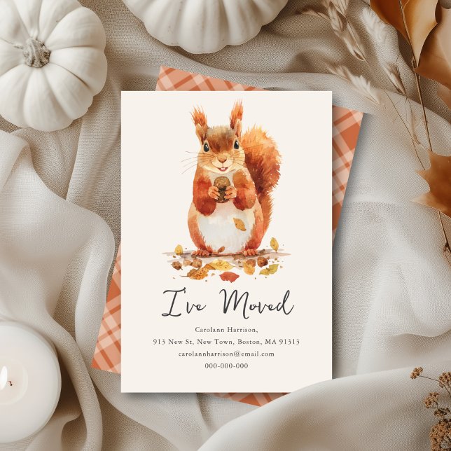 Tarjeta Pequeña Caída de la ardilla otoñal | Nueva dirección resid (Subido por el creador)