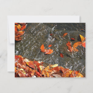 Tarjeta Pequeña Caídas en cataratas en fotografía de otoño