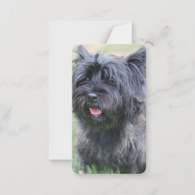 Tarjeta Pequeña Cairn (Anverso)