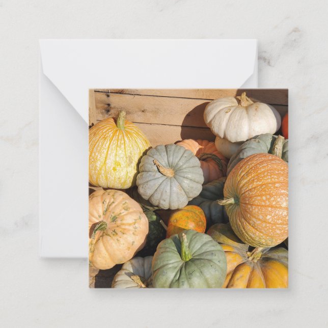 Tarjeta Pequeña Calabazas en otoño (Anverso)