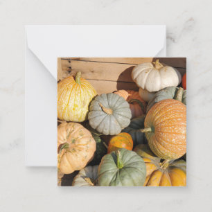 Tarjeta Pequeña Calabazas en otoño