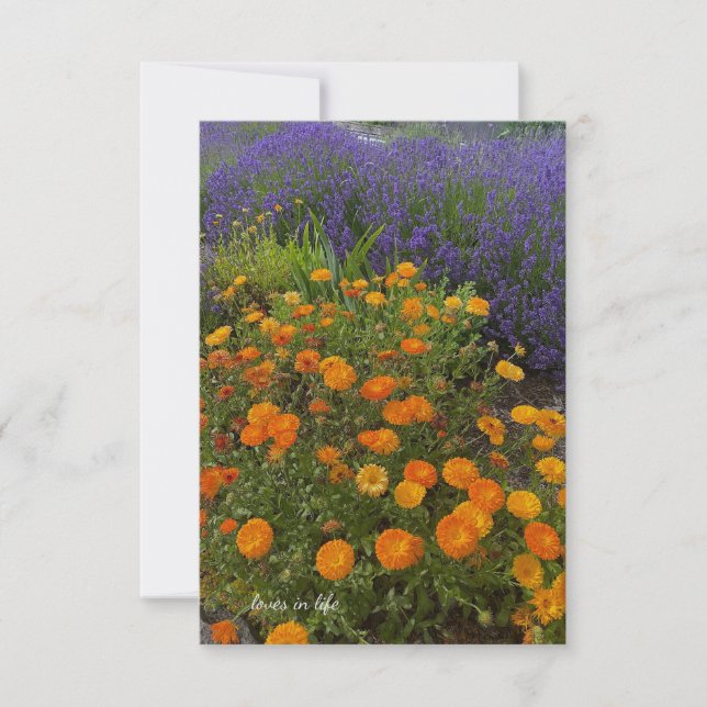 Tarjeta Pequeña Calendulas y Lavender (Anverso)