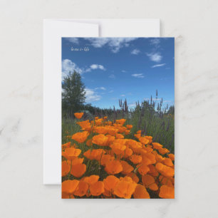 Tarjeta Pequeña California Poppies & Lavender