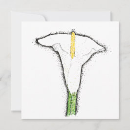 Tarjeta Pequeña Calla Lily