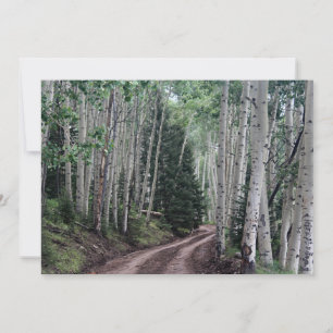 Tarjeta Pequeña Camino a través del río Birch