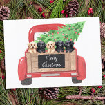 Tarjeta Pequeña Camión de Navidades rojos personalizado de los cac<br><div class="desc">Envíe saludos navideños esta temporada navideña con este labrador negro y amarillo que recupera cachorros en un diseño acuarela. Esta tarjeta de vacaciones de labrador negro contiene cinco crías de labrador en un camión de navidades rojos con color de agua y árbol de vacaciones. Personalice con el saludo de la...</div>