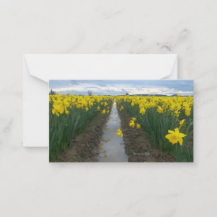 Tarjeta Pequeña Campo Daffodil