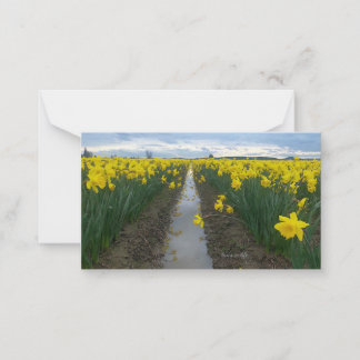 Tarjeta Pequeña Campo Daffodil