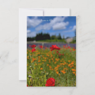Tarjeta Pequeña Campo de amapola y lavanda