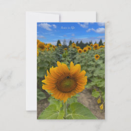 Tarjeta Pequeña Campo de girasol y abeja