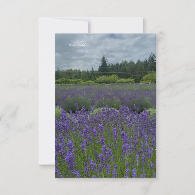 Tarjeta Pequeña Campo de lavanda, día de nubes (Anverso)