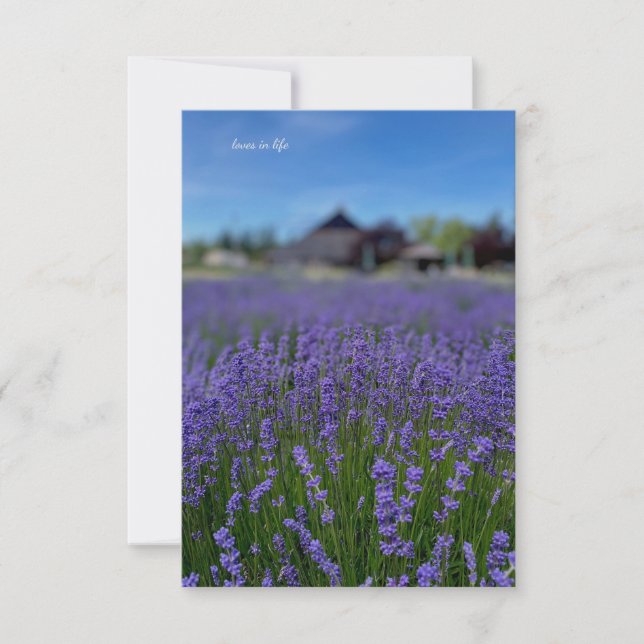 Tarjeta Pequeña Campo de lavanda y granero (Anverso)
