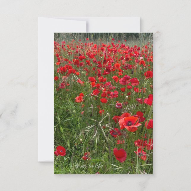 Tarjeta Pequeña Campo de los lapachos rojos (Anverso)